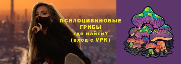соль ск Богородицк